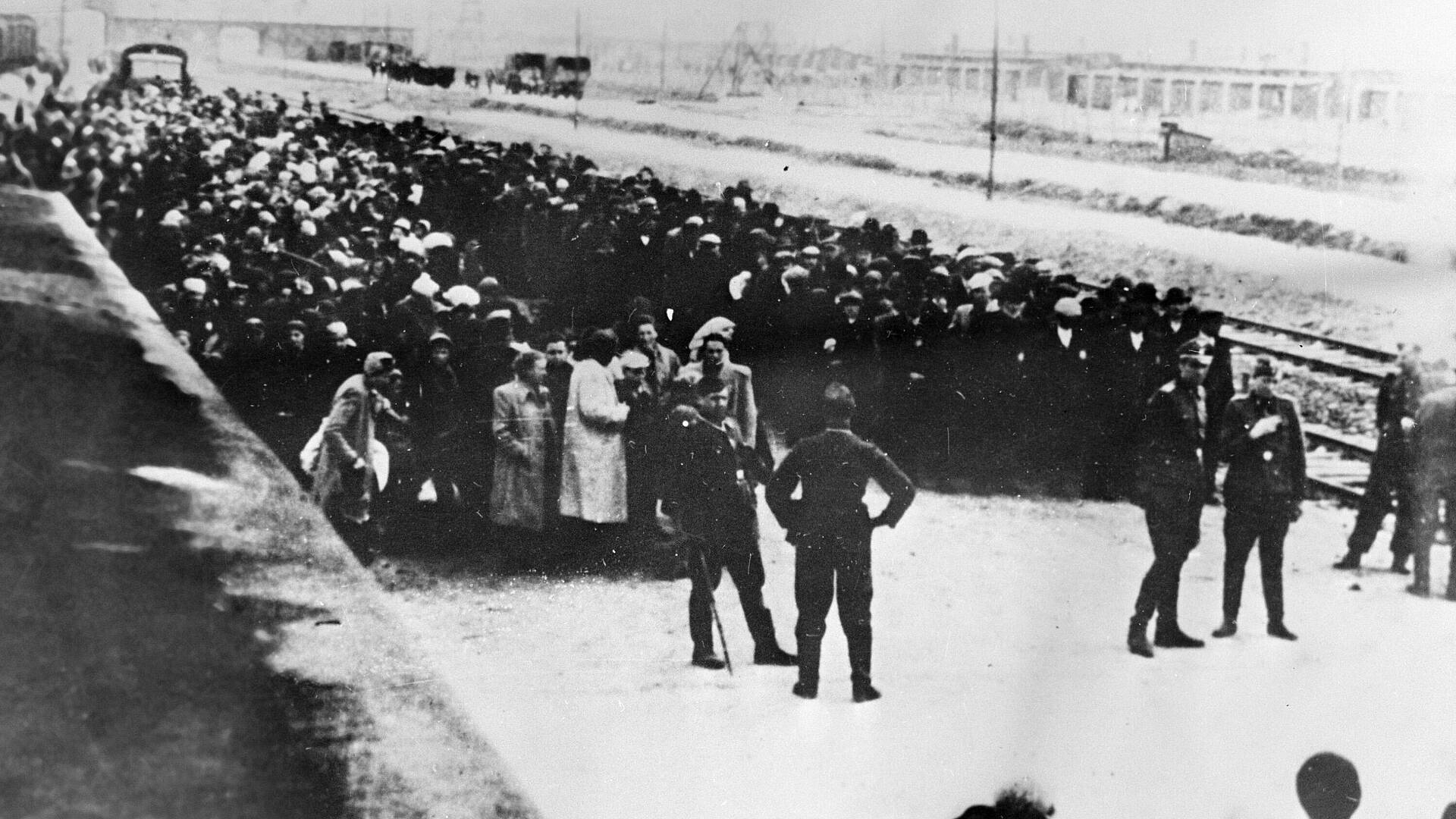 Первые итоги исследования политики геноцида Третьего рейха огласят к 9 мая