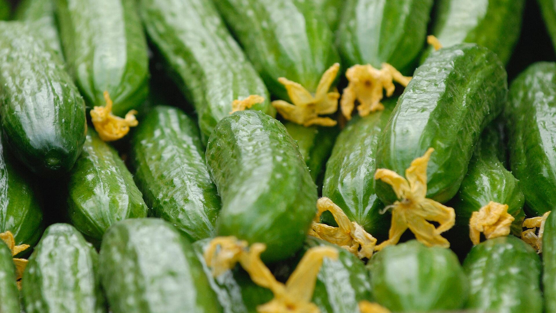 ���������� ��������� � �������� ��� �� �����