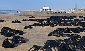 Выброшенный на побережье Кубани мазут планируется убрать до 1 февраля