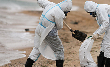 В Керчи и на Кубани от мазута очистили более 790 километров побережья