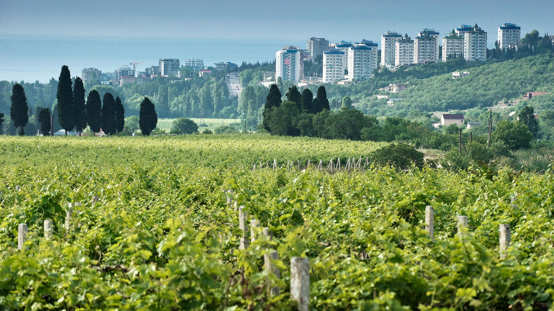 � ������ ������� ������������� ���������, �������������� ������������