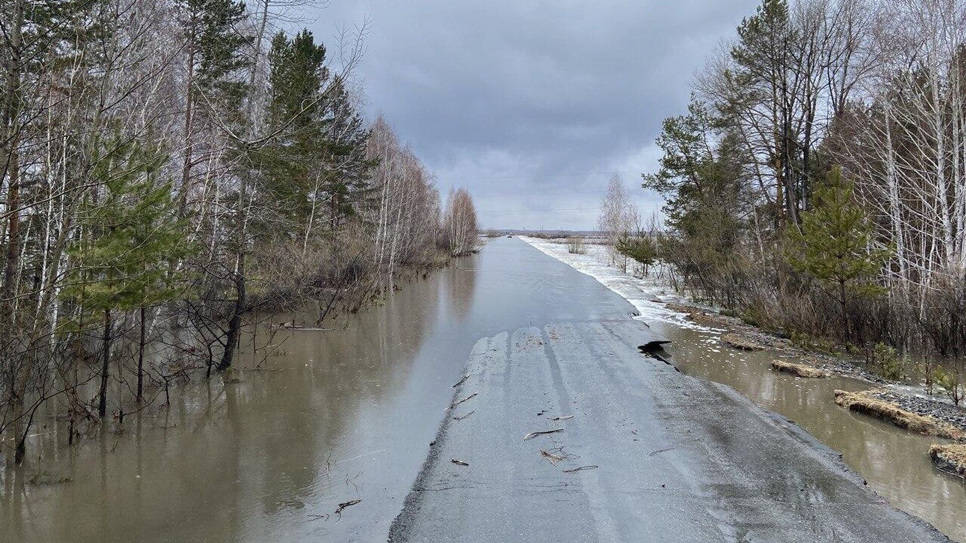 ������� ���� ����� � ������� �������� � ���� �� 63 ����������