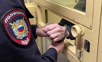 Школьнице, подозреваемой в убийстве отца, грозит до 10 лет, заявил адвокат