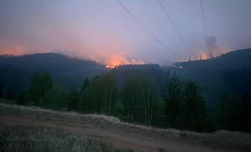 Площадь лесных пожаров в Забайкалье снизилась в 55 раз