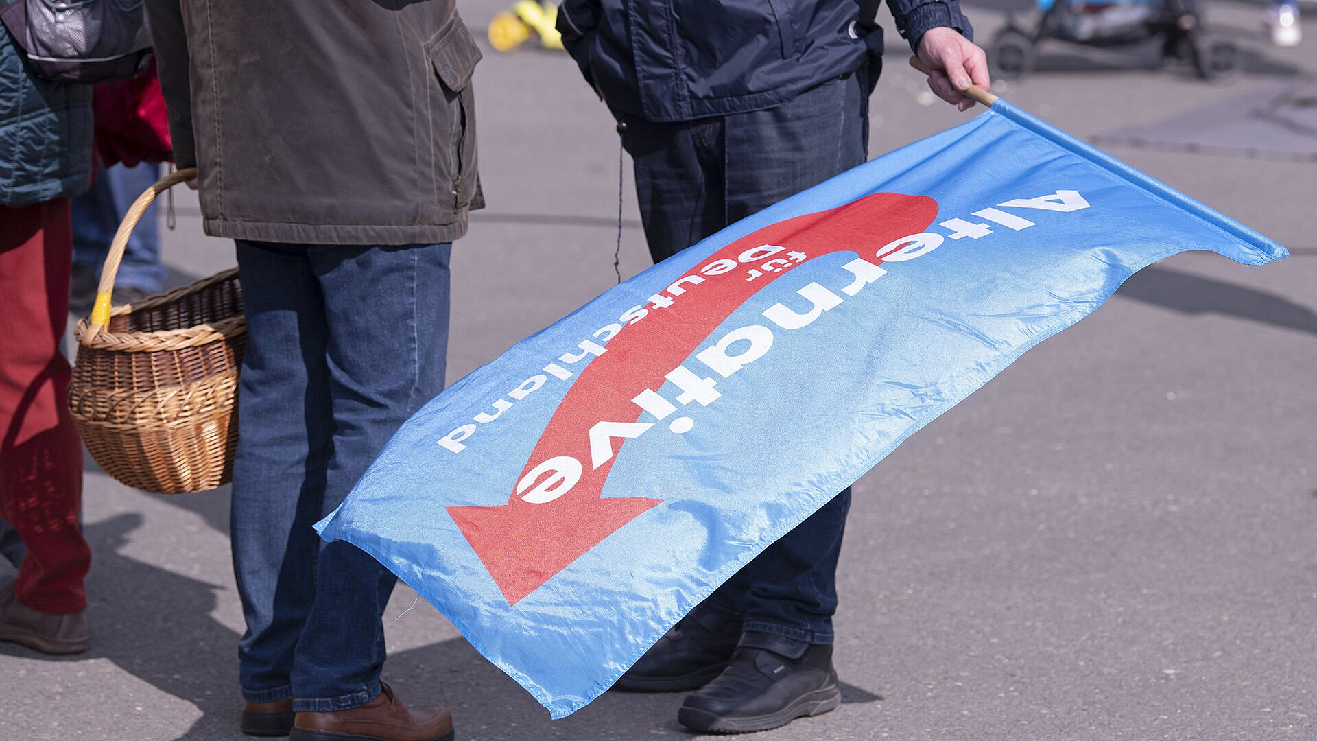 В Австрии заявили о недемократических попытках изоляции АдГ в Германии