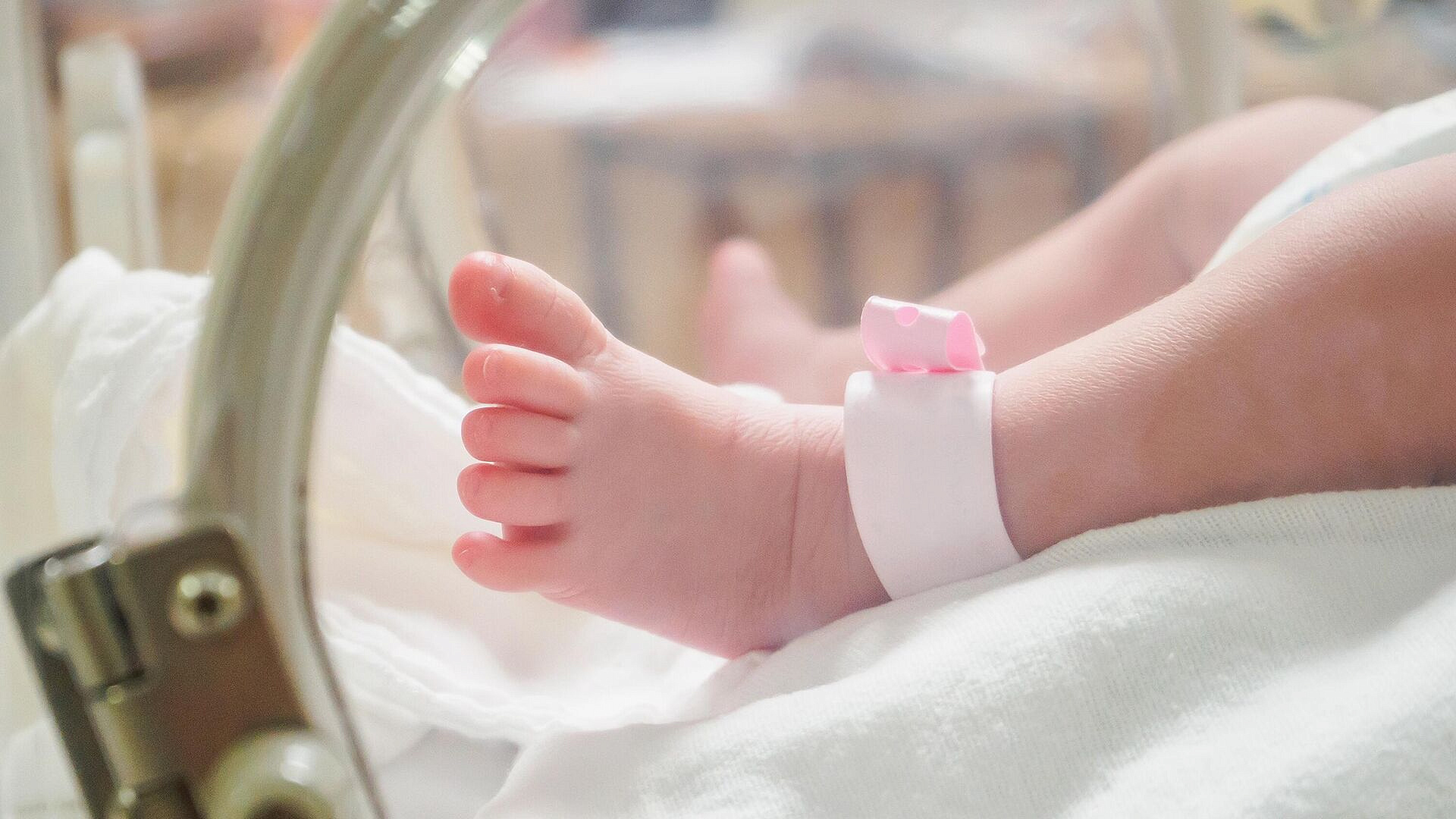 � ���� ������� ������ � ���� ������� � ����������� ���������� Fertilo