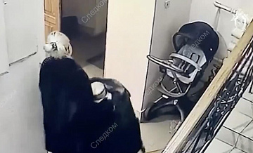 Правнука убитого экс-мэра Самары поместили в приют