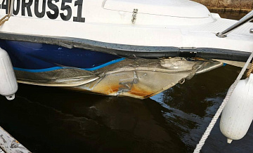 В Ленинградской области столкнулись два катера