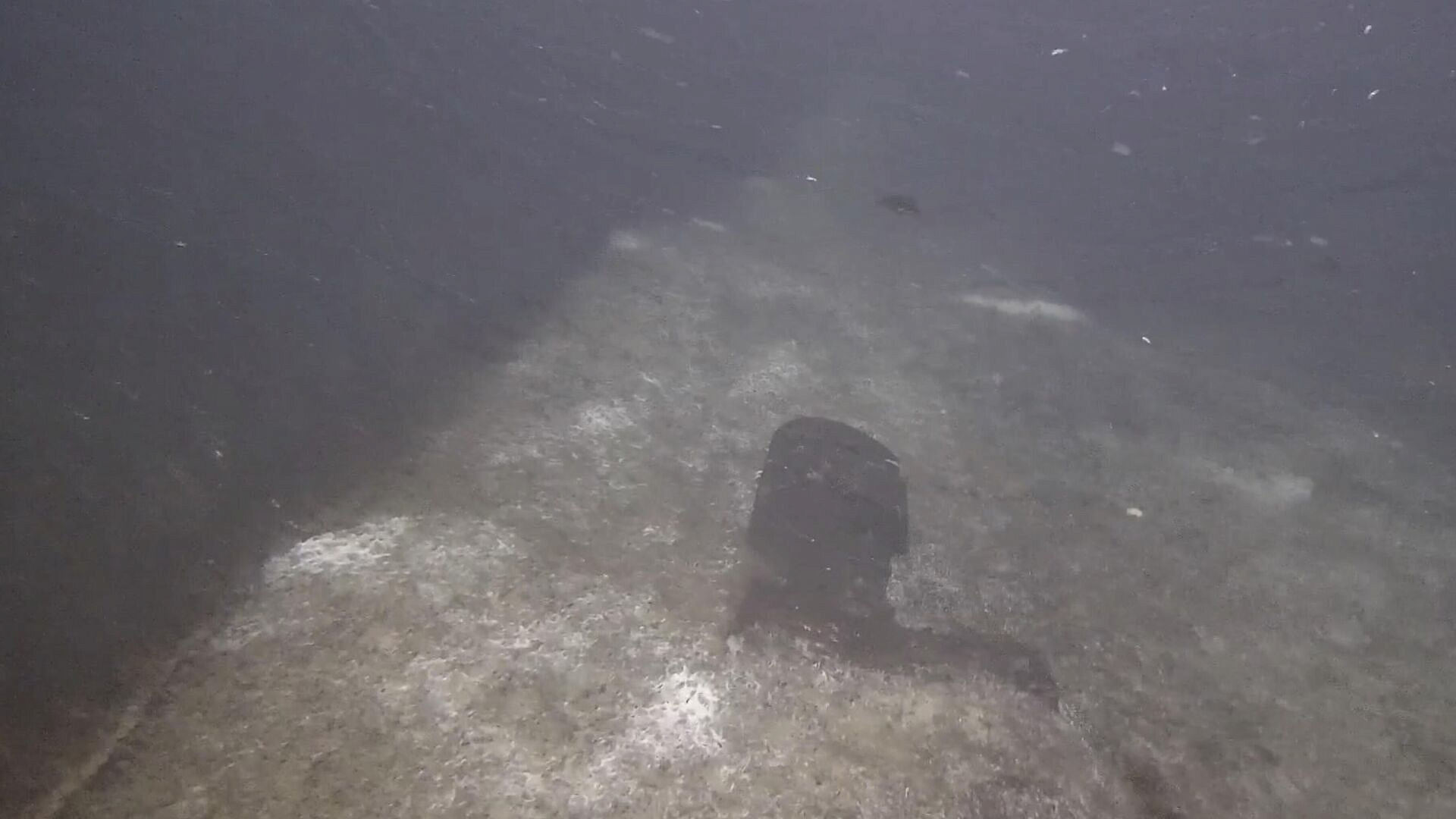 �������� ������� ���������������� ������ ������� �� "�������� �������"