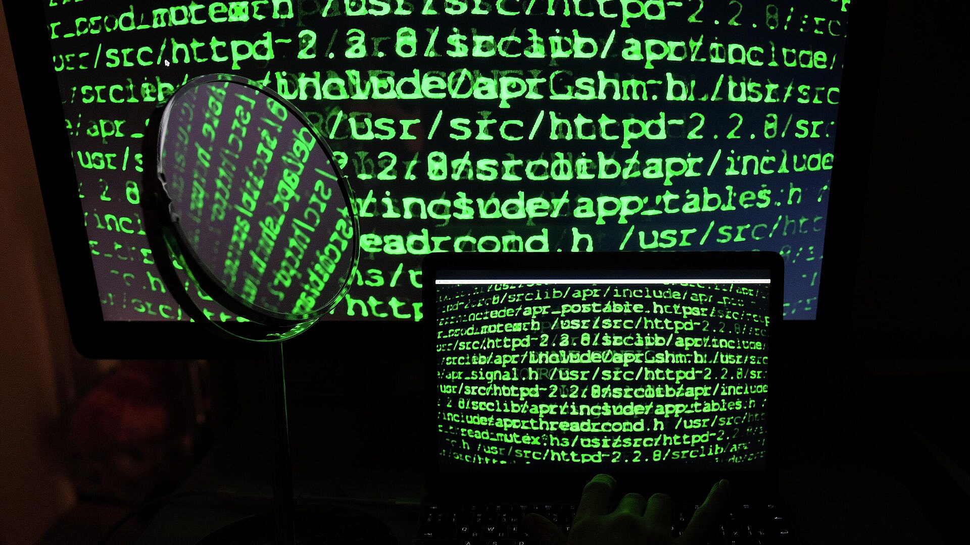 Калининградский сайт викторины для избирателей подвергся DDoS-атаке