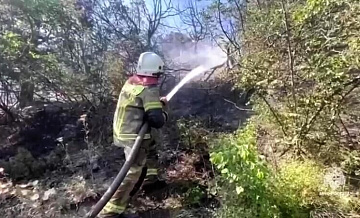 Из-за пожара под Новороссийском возбудили уголовное дело