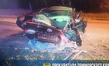 В Приморье опрокинулась иномарка, погиб ребенок В Приморье опрокинулась иномарка, погиб ребенок