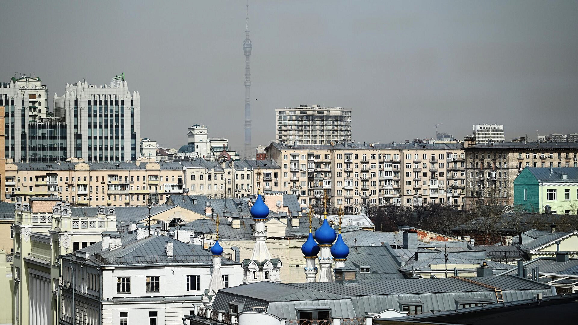 В Москве пройдет исторический диктант в честь 80-летия победы в ВОВ В Москве пройдет исторический диктант в честь 80-летия победы в ВОВ