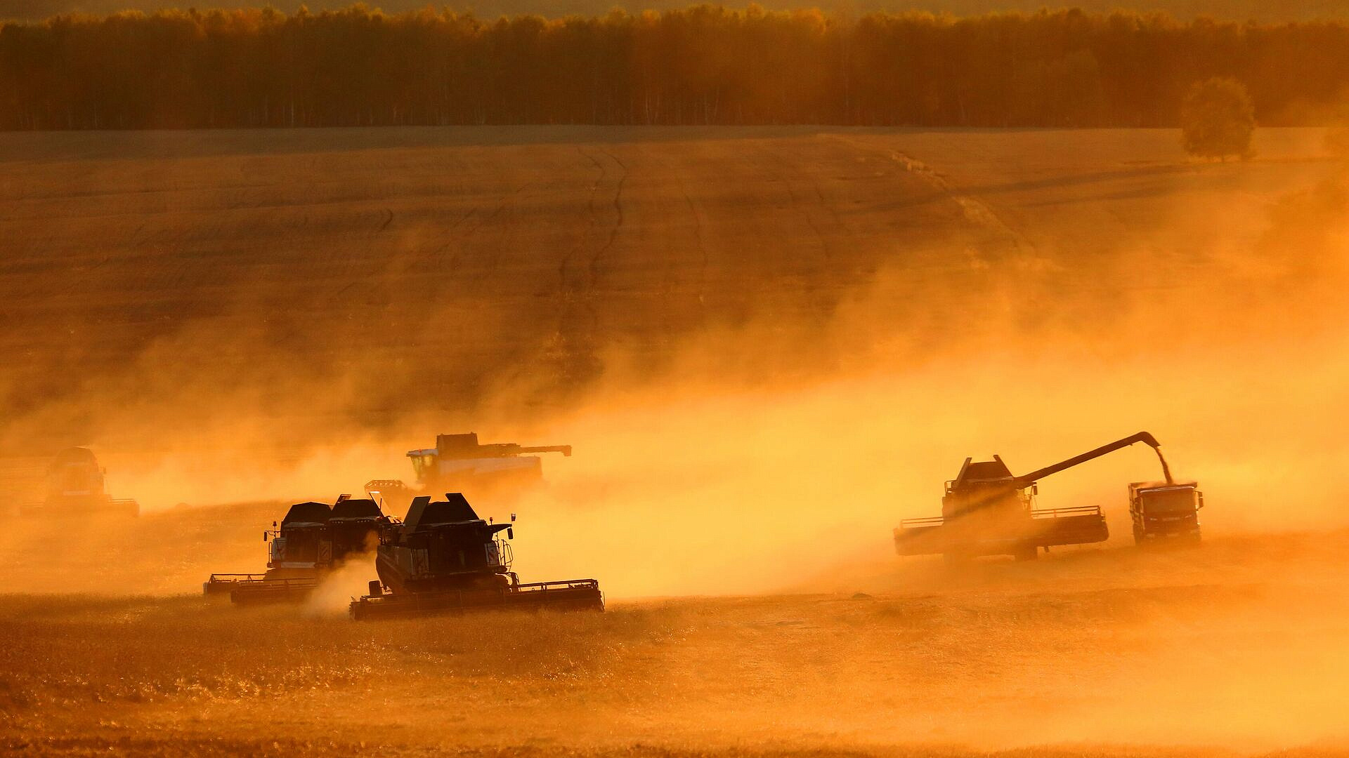 АПК Татарстана в 2025 г произвел продукции на 400 млрд руб, с ростом 7,3%