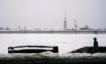 Появились подробности о найденных в Петербурге чемоданах с останками