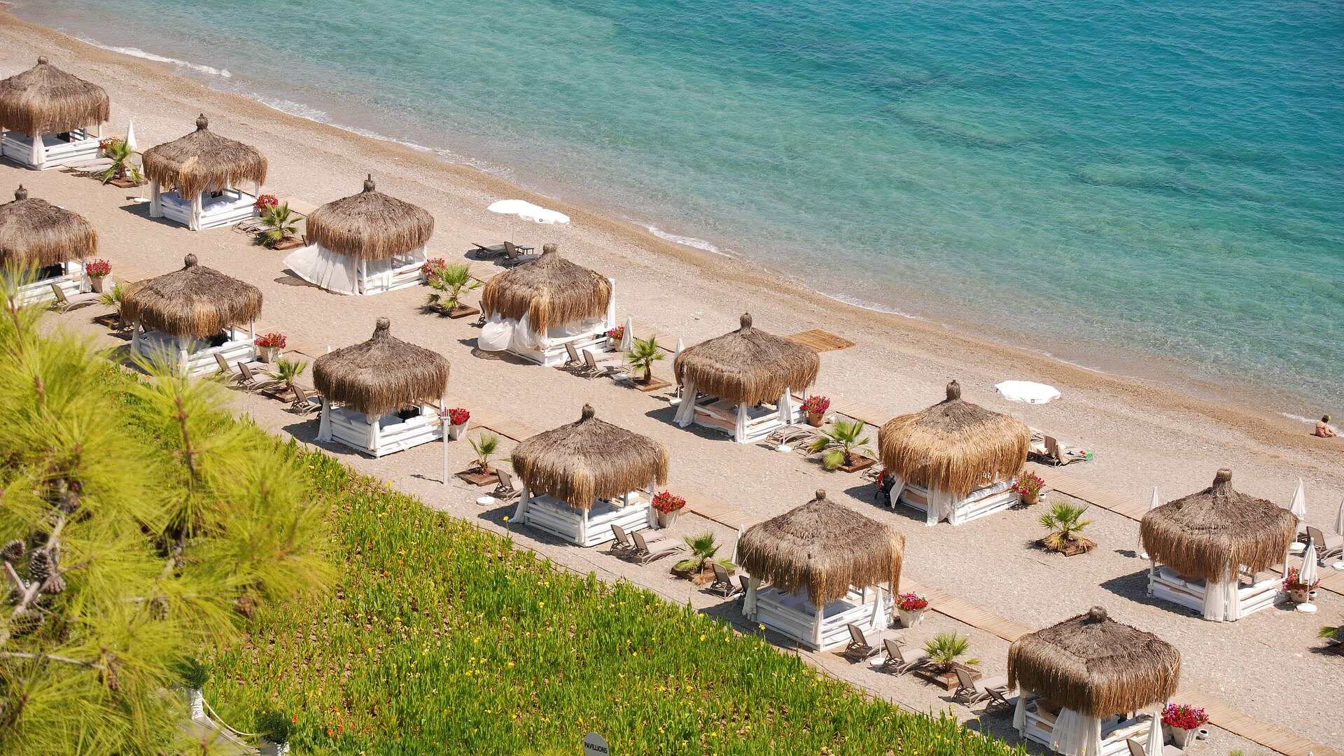 ������ ������������� � ���� ��������� ����� ��������