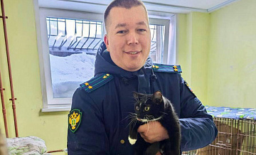 В Перми спасли кошку, брошенную в завязанном пакете в электричке