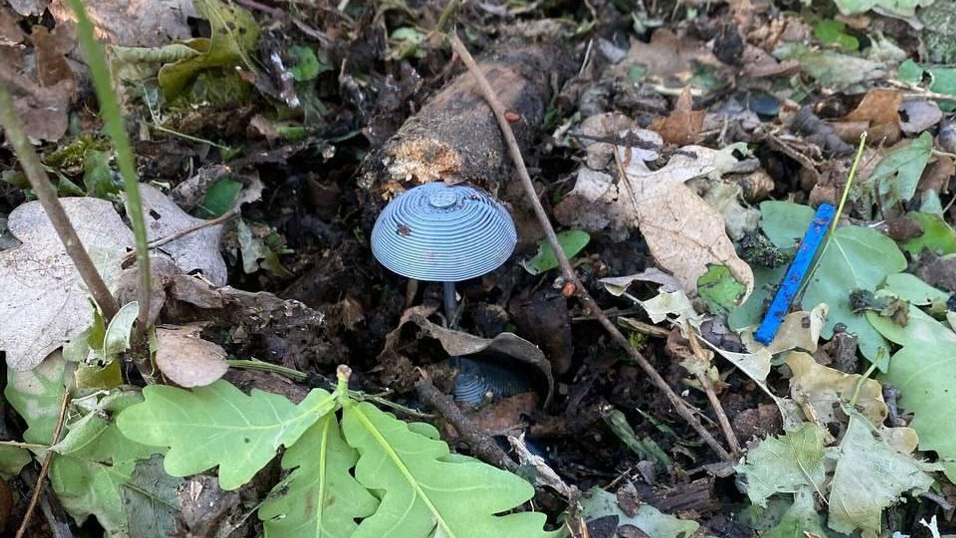 Пять мирных жителей пострадали от дистанционного минирования ВСУ