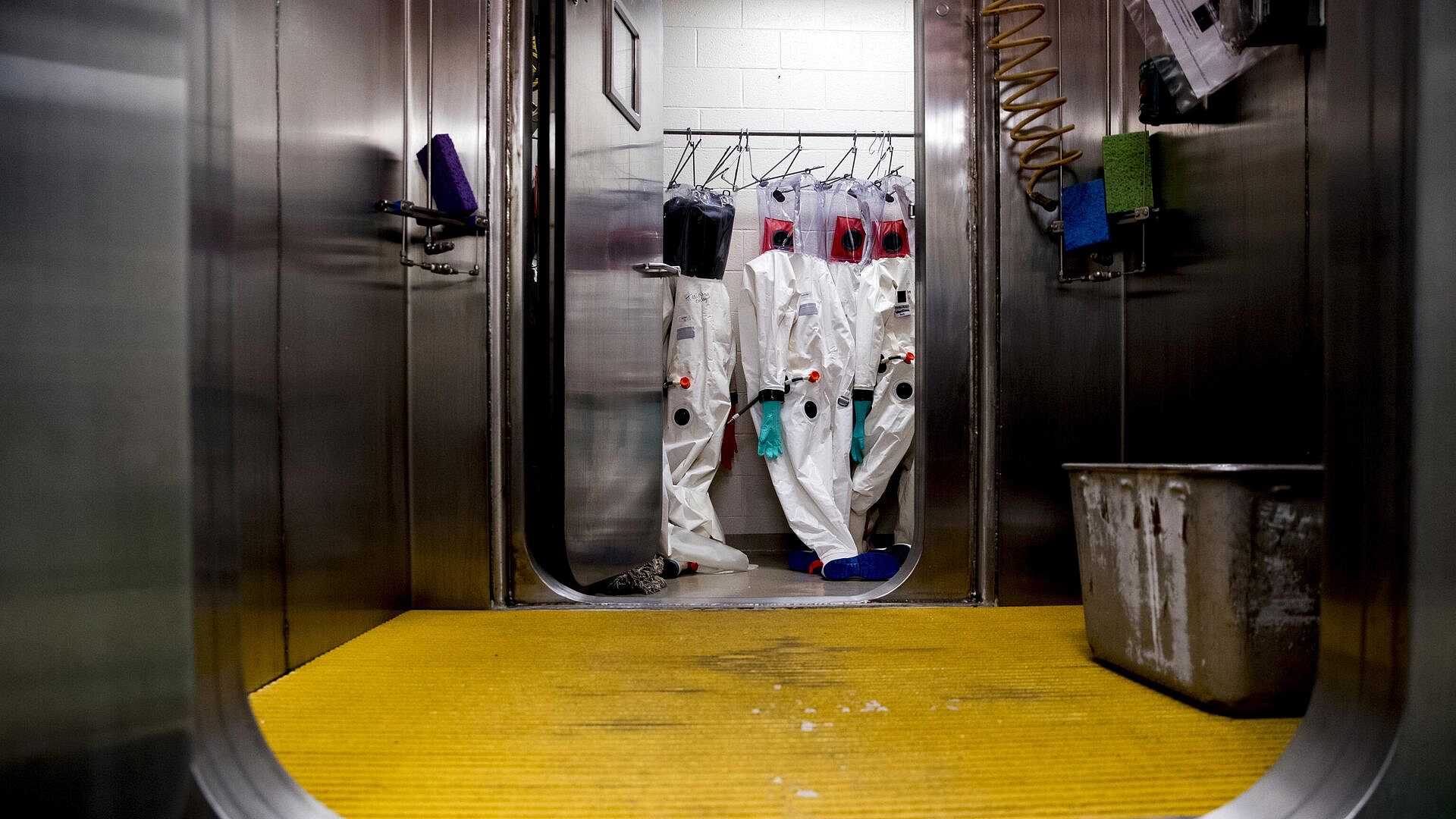 В США раскрыли страшную правду об украинских биолабораториях