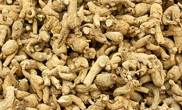 В Приморье возбудили дело о контрабанде особо ценных растений