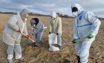 Мишустин поручил следить за качеством воздуха в зоне разлива мазута