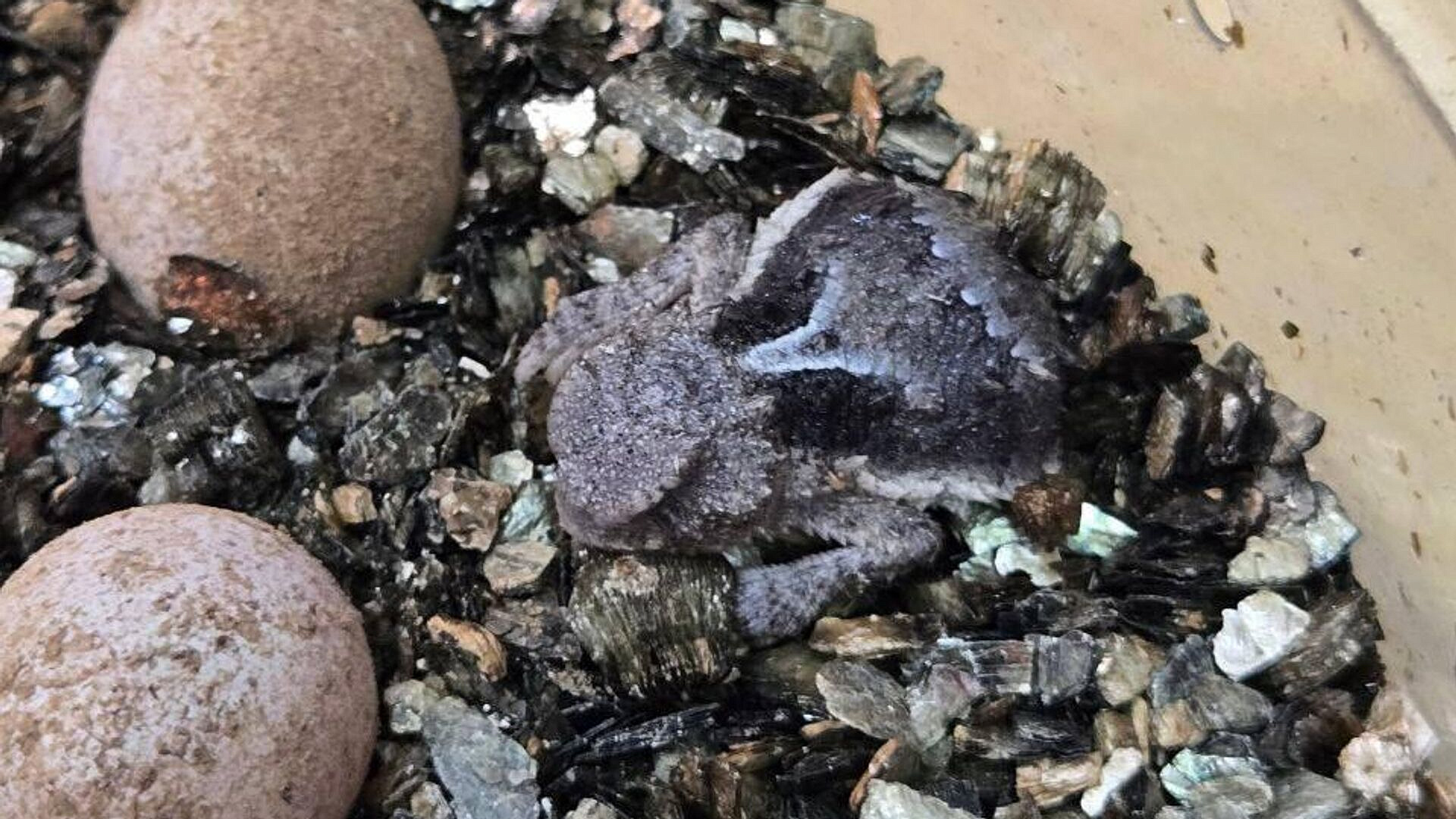 � ���������� �������� ��������� �� ���� ������ �������