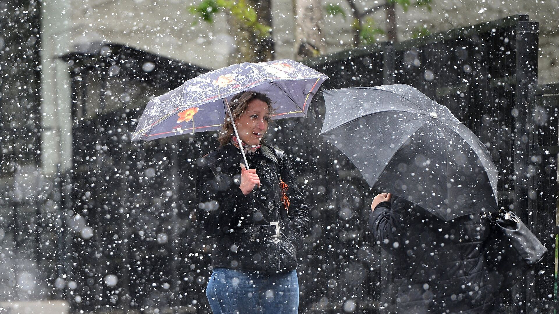 ��������� ������������ � ������ ����� � �������