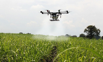 ����������� ������ ������� ���������, ��� ��� ��������� ������������