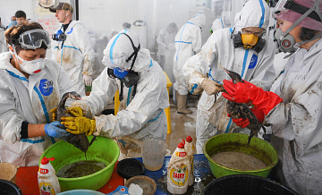 В Ялте спасли более 70 птиц, пострадавших от разлива нефтепродуктов