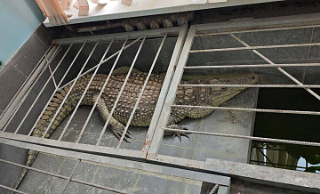 ������ ��������� � �������� ���������, ��� ������ ������� ��������