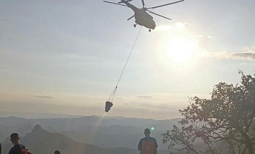 В Крыму ликвидировали лесной пожар площадью три гектара