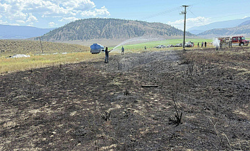 В Канаде задержали птицу, которая уронила рыбу на ЛЭП и устроила пожар