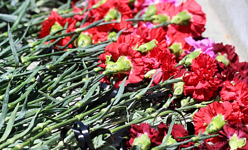 � ������� ������� ������ �������� ���������