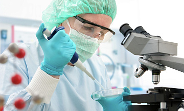 Свинью-донора органов для человека могут вырастить в России в 2027 году