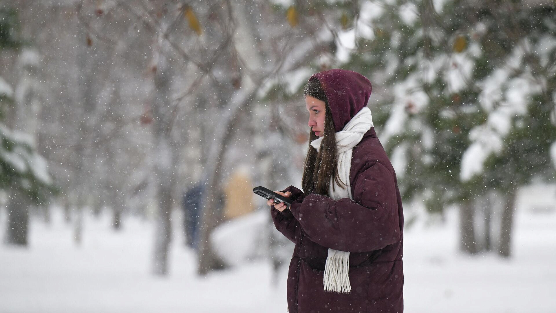 ��������� ���������, ����� ��������� ���������� �������� � ��������