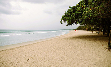 Россиянка на Бали покрылась сыпью после контакта с гусеницей