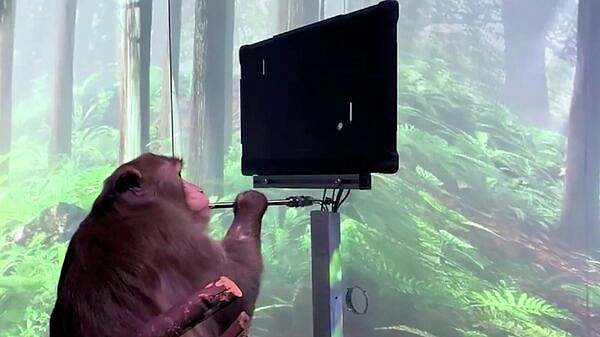 � ������ �������� ����� ����� Neuralink ����� ���������