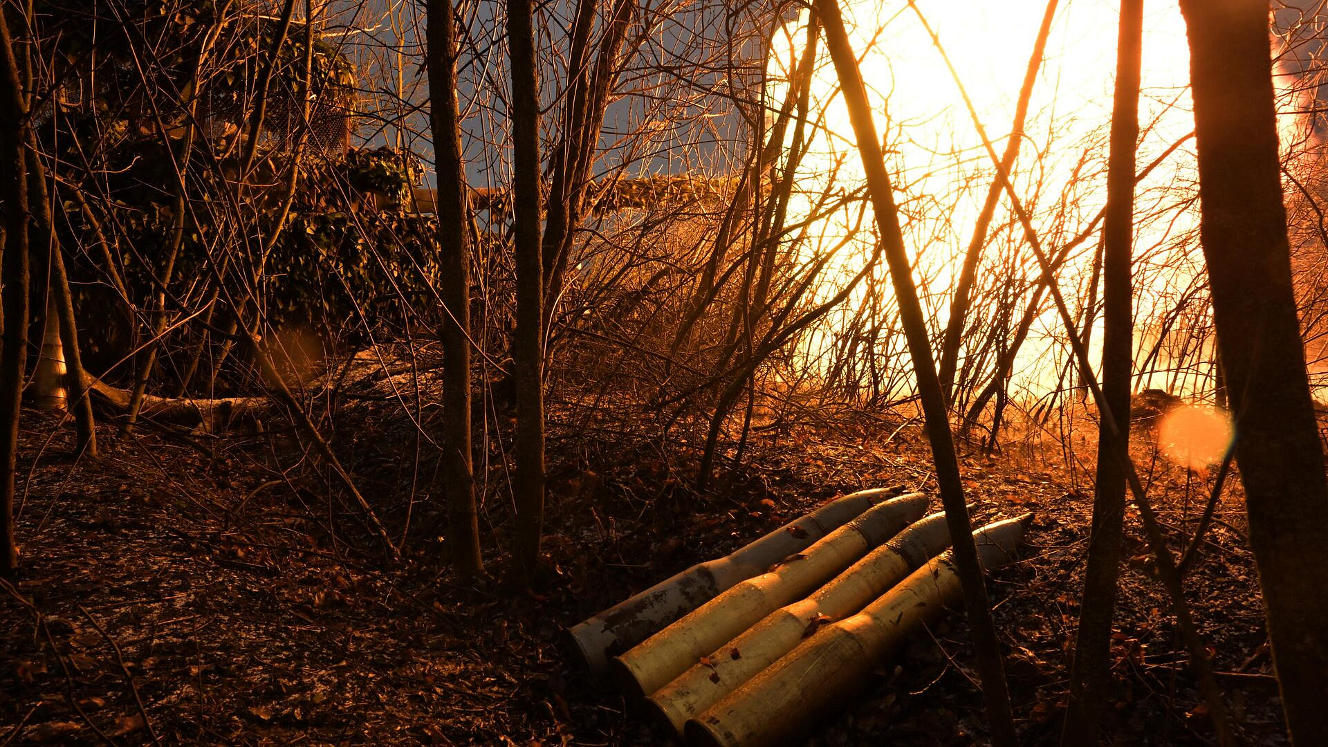 ���: �� ������� ��������� ������� �� ���������