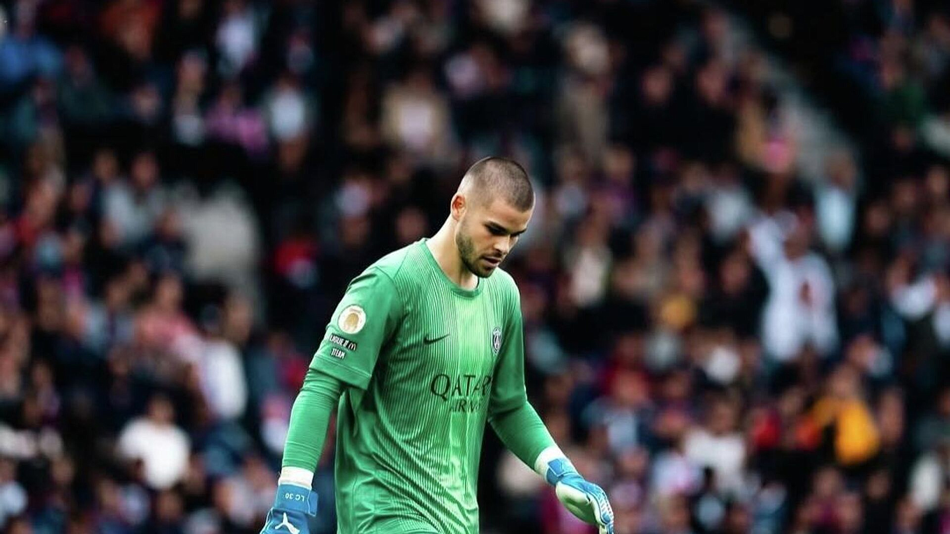 "���" ��� �������� ����������� �������� � 1/16 ������ ����� �������