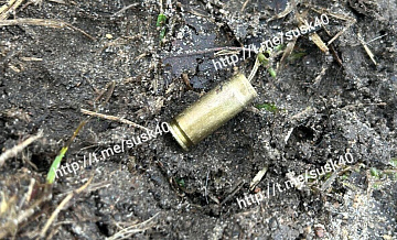 Полиция раскрыла подробности дела об убийстве лесничих в Калужской области