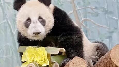 ����� ������ �������� ������� � ������� �� ���������� ������