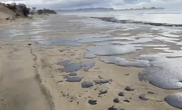 Уникальные дюны на побережье Анапы пострадали от выброса мазута