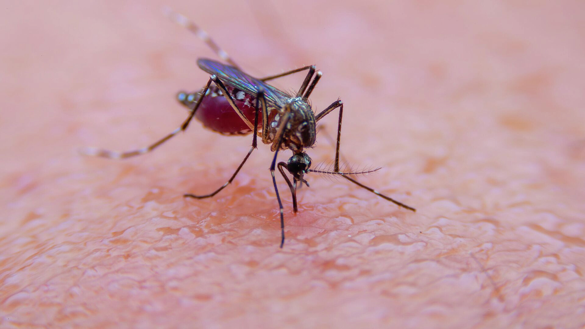 � ��������� ������� ������� ������ ��������� ��������� ����