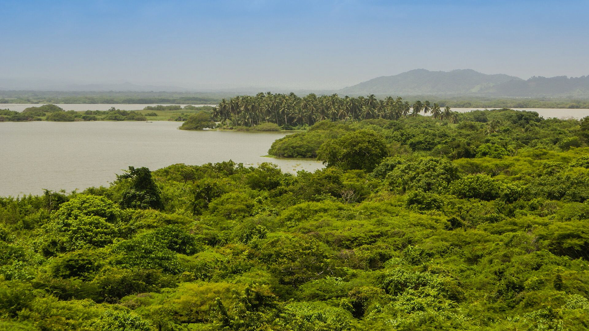 ��������� ���������, ��� �������� ����� �������