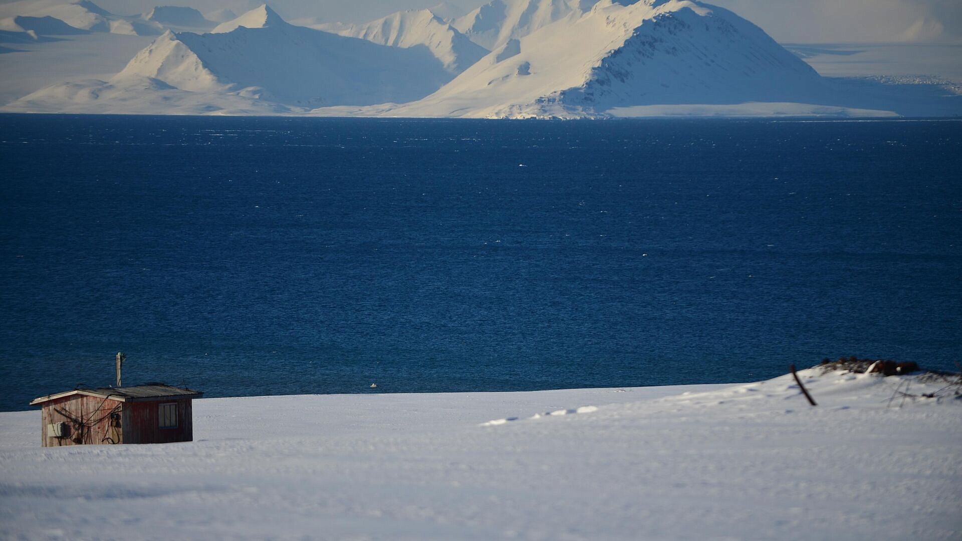 ����� ���� ������� ������ � ��� ������������ � �������