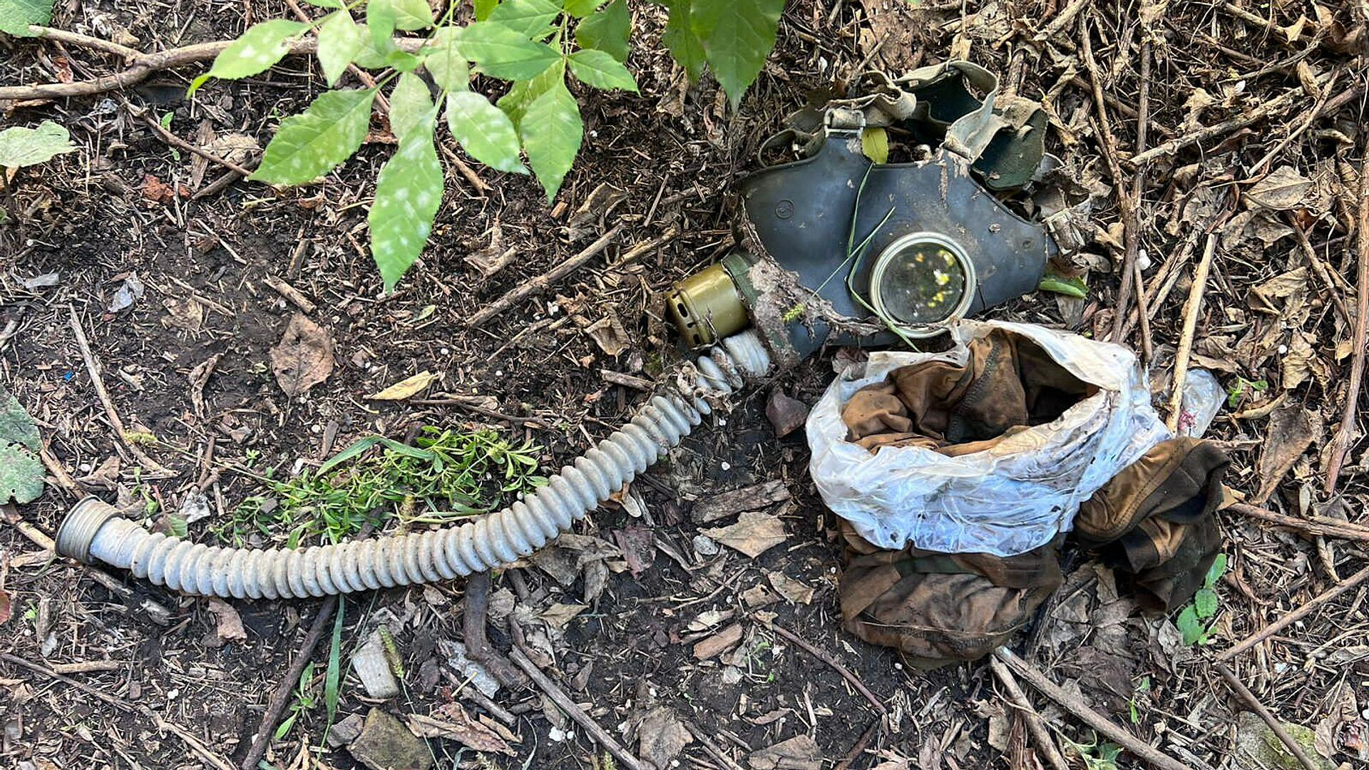 ������������, 19 �������: ��� ��������� ������������� ������ �� ������