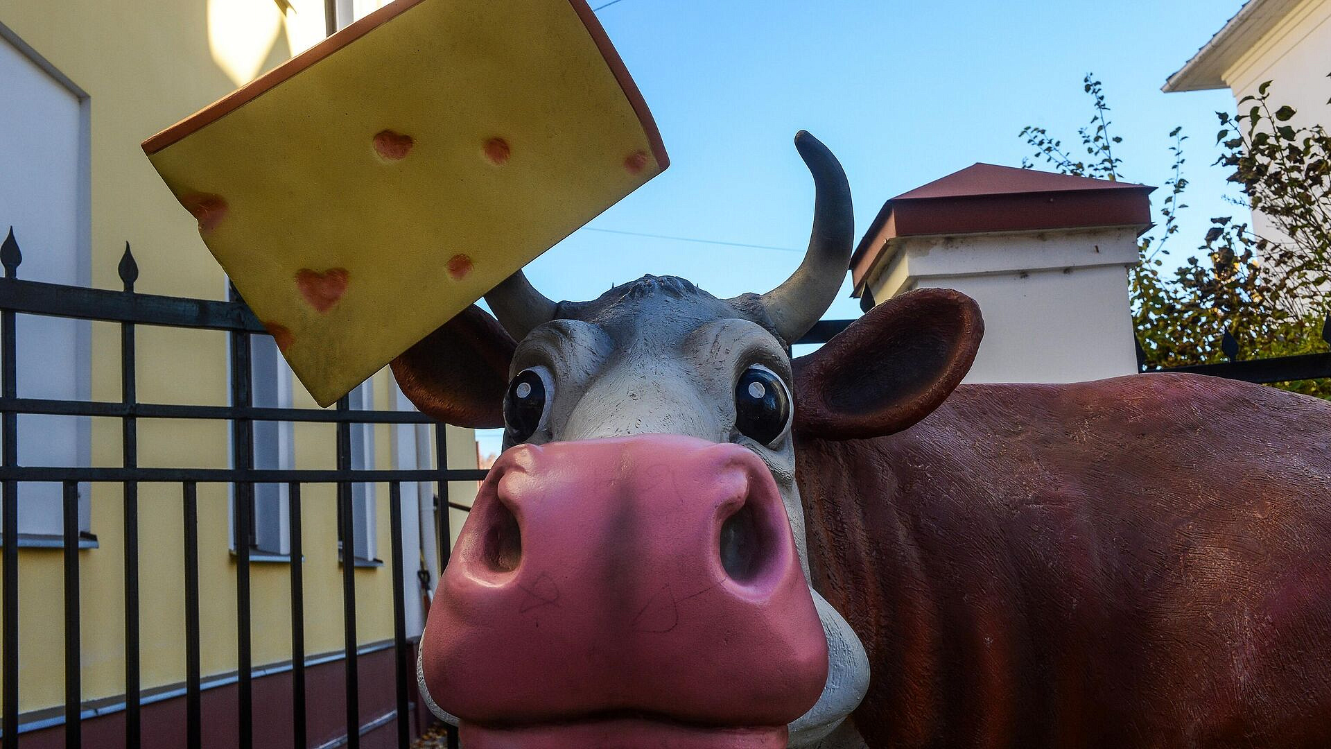 � �������� ����������� ��������, ���������� ��� �� ���������� ������