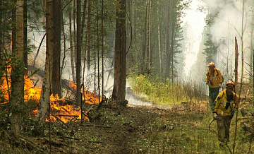 В России потушили 30 природных пожаров за сутки