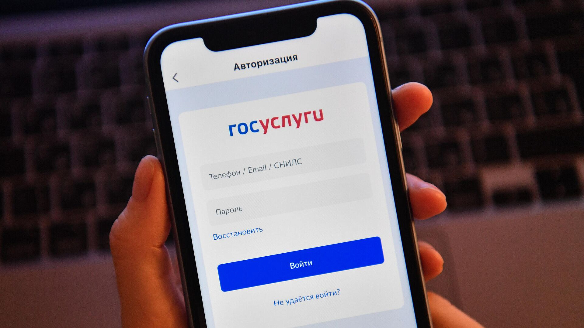 Снятие самозапрета на кредит на "Госуслугах" осложнилось с 1 июня