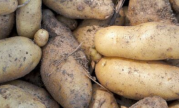 "Руспродсоюз" назвал самый подешевевший за год продукт